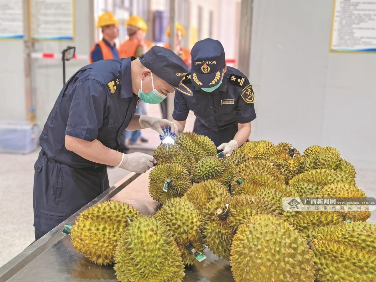 通关提质增效！东兴口岸前4月进出口货物量值齐增