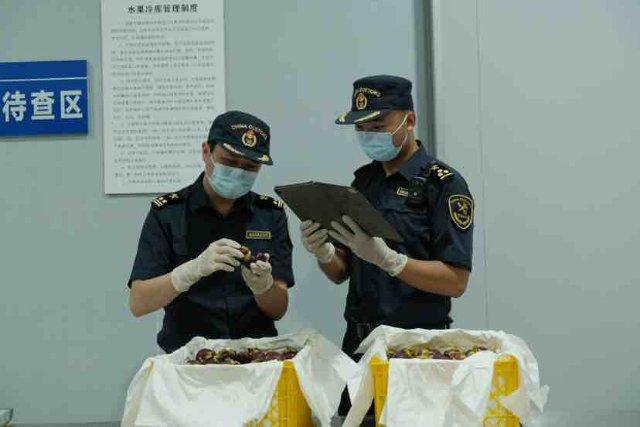 今年以来中老铁路进出口货物超300万吨、货值超100亿元(图2)