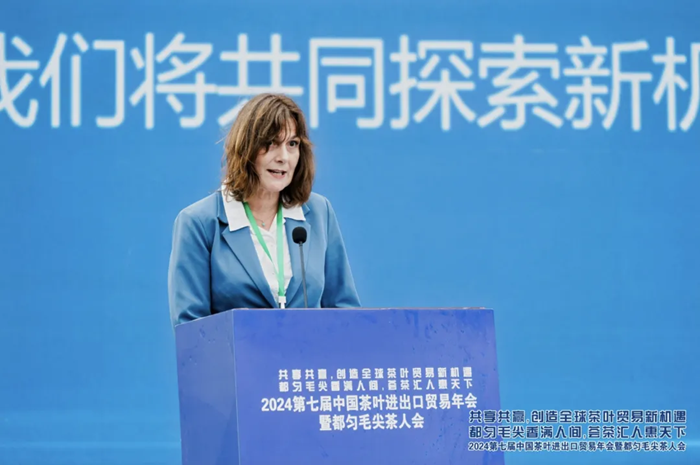 第七届茶叶进出口贸易年会暨都匀毛尖茶人会8月4日开幕！共享共赢共谋茶叶国际贸易新篇(图3)