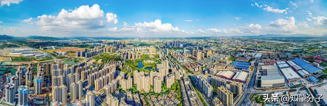 全市第一！上半年肇庆高新区外贸进出口超48亿元！