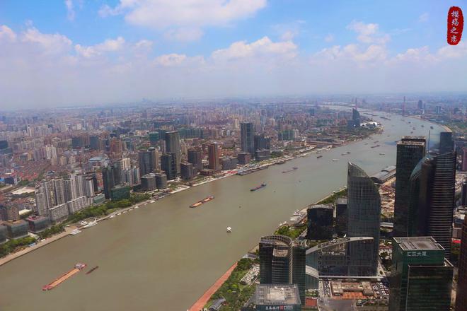 2024年上半年城市进出口总额排名深圳反超上海金华冲进前十(图3)