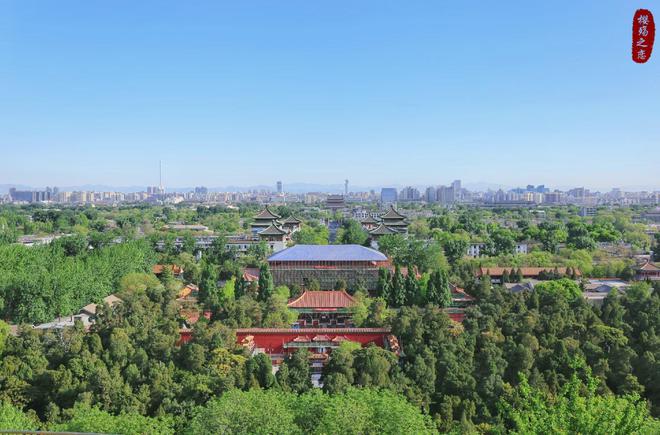2024年上半年城市进出口总额排名深圳反超上海金华冲进前十(图4)