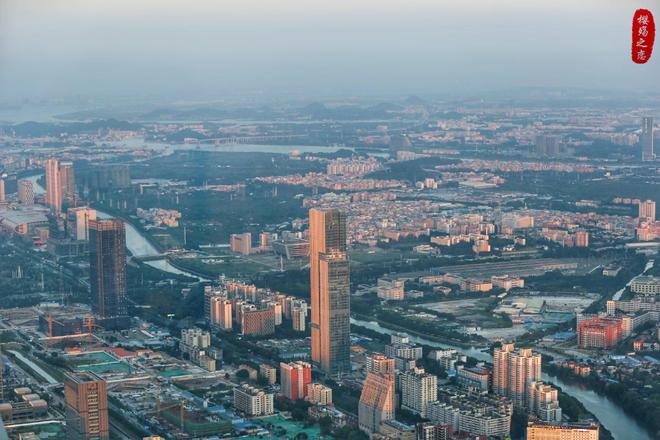 2024年上半年城市进出口总额排名深圳反超上海金华冲进前十(图7)
