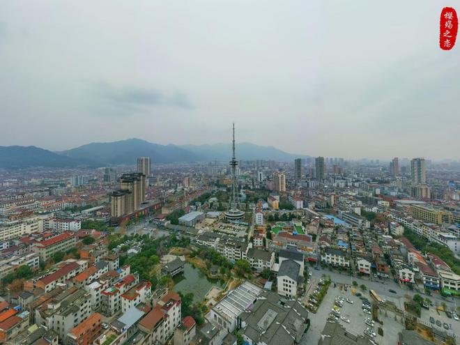 2024年上半年城市进出口总额排名深圳反超上海金华冲进前十(图9)